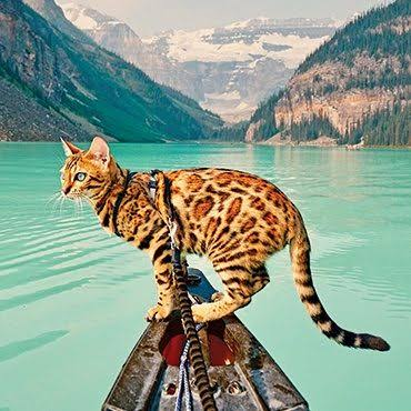 Suki standing on the bow of a canoe in a turquoise glacial lake
